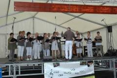middelburg-2011