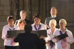 2013 Vilvoorde zingt